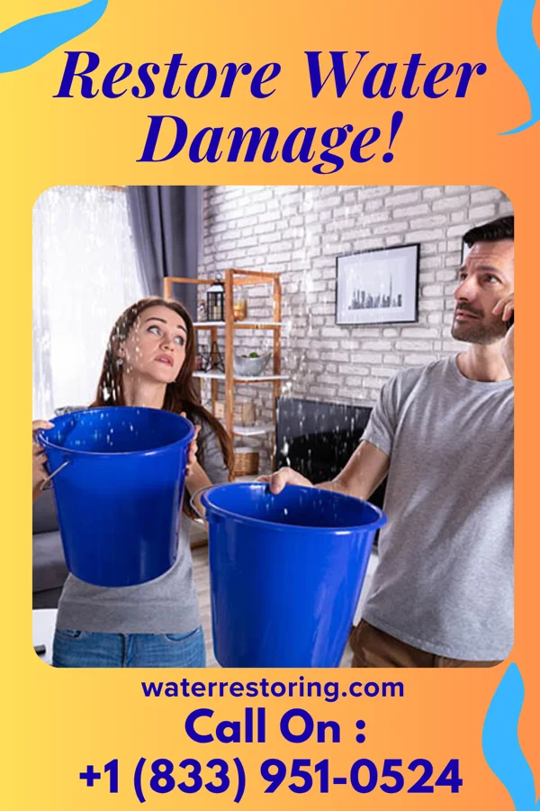 water restoration Damage Restoration Contractors Fairview