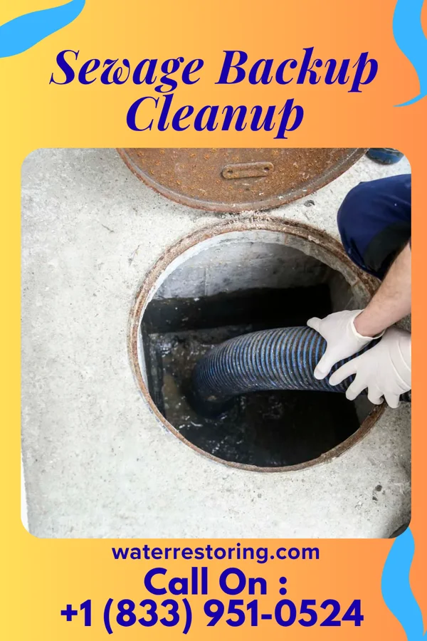 Sewage Backup Cleanup in Fairview, PA
