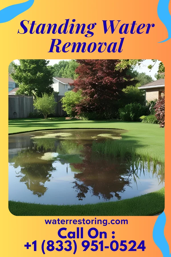 Standing Water Removal in Fairview, PA